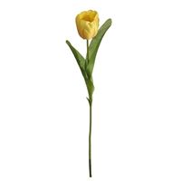 Tulipan, gul 52cm